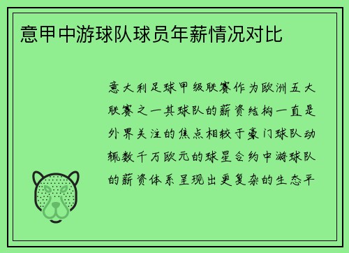 意甲中游球队球员年薪情况对比
