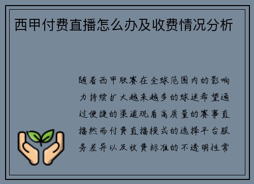 西甲付费直播怎么办及收费情况分析